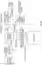 Fig. 38 - Metal layer for inductive power transfer