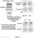 Fig. 05 - Dynamic inter-beam-interference indication, configuration and communication in wireless networks
