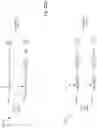 Fig. 12 - FREQUENCY DIVISION MULTIPLE ACCESS OPTICAL SUBCARRIERS
