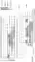 Fig. 33 - FREQUENCY DIVISION MULTIPLE ACCESS OPTICAL SUBCARRIERS