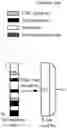 Fig. 01 - Polar code retransmission method and apparatus