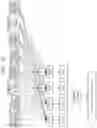 Fig. 15 - Communication device and communication method