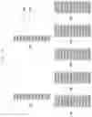 Fig. 32 - Method and apparatus for diversity-based data transmission in mobile communication system