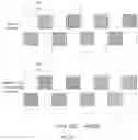 Fig. 09 - Communication method and apparatus