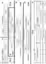 Fig. 05 - Punctured null data packet (NDP) within wireless communications