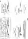 Fig. 08 - Punctured null data packet (NDP) within wireless communications