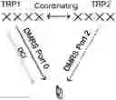 Fig. 01 - Wireless communication method, terminal device and network device