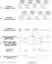 Fig. 11 - PACKET COMMUNICATION SYSTEM, AND INFRASTRUCTURE SYSTEM, BUILDING AUTOMATIONSYSTEM AND FACTORY AUTOMATION SYSTEM USING PACKET COMMUNICATION SYSTEM