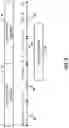 Fig. 06 - Reference signal for wireless communication systems