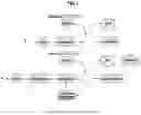 Fig. 02 - METHODS AND SYSTEMS FOR MODULATING AND DE-MODULATING DATA