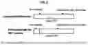 Fig. 03 - METHODS AND SYSTEMS FOR MODULATING AND DE-MODULATING DATA