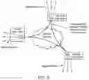 Fig. 10 - Application wire