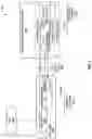 Fig. 10 - SECURE FORWARDING OF TENANT WORKLOADS IN VIRTUAL NETWORKS