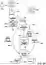 Fig. 04 - Identity verification through a centralized biometric database