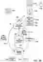 Fig. 05 - Identity verification through a centralized biometric database
