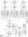 Fig. 02 - Cyber security protection system and related proactive suspicious domain alert system