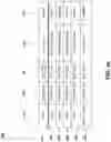 Fig. 11 - System and method for improving internet communication by using intermediate nodes