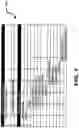 Fig. 08 - System providing faster and more efficient data communication
