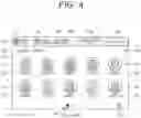 Fig. 05 - Information processing apparatus, recording medium storing user management program, and user management method