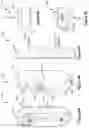 Fig. 12 - Doorbell camera