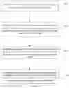 Fig. 05 - Image processing and presentation