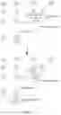 Fig. 25 - Image signal encoding/decoding method and apparatus therefor