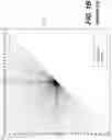 Fig. 03 - Method and apparatus for video coding