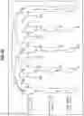 Fig. 41 - IMAGE PROCESSING DEVICE AND METHOD