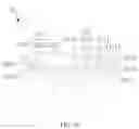 Fig. 20 - Loudspeaker apparatus