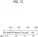 Fig. 14 - Method and device for identifying packet in wireless communication system