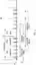 Fig. 05 - Synchronization of bluetooth low energy isochronous transmissions
