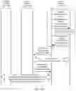 Fig. 17 - Policy control method and system, network element, and storage medium