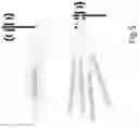 Fig. 06 - Conditional mobility triggering based on beam information