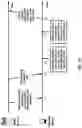 Fig. 24 - Transmission and Reception with Multiple Panels