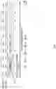 Fig. 08 - USER TERMINAL AND RADIO COMMUNICATION METHOD