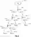 Fig. 04 - IAB Timing Delta MAC CE Enhancement For Case #6 Timing Support