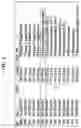 Fig. 08 - FBS redirection attack method using unicast message injection in LTE and the system thereof