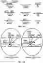 Fig. 12 - Wireless device and wireless network processes for paging enhancement