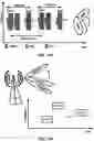 Fig. 14 - Wireless device and wireless network processes for paging enhancement