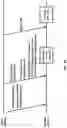Fig. 24 - Wireless device and wireless network processes for paging enhancement