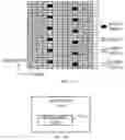 Fig. 08 - Method for Determining Sidelink Transmission Resource, Terminal Device, and Network Device
