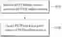 Fig. 01 - Method whereby sidelink terminal transmits pscch in wireless communications system, and device therefor
