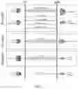 Fig. 03 - User equipment beam correspondence