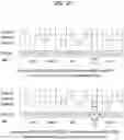 Fig. 17 - Method and apparatus for transmitting and receiving wireless signal in wireless communication system