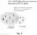 Fig. 03 - Systems, methods and apparatuses for terrestrial and non-terrestrial networks interference mitigation
