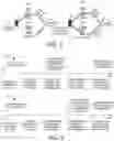 Fig. 04 - MA PDU SESSION AND USER PLANE RESOURCE ESTABLISHMENT FOR DATA TRANSMISSION