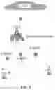Fig. 07 - COMMUNICATION METHOD AND APPARATUS