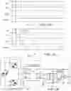 Fig. 05 - Electrical light set circuit, light strip and control apparatus therefor