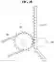 Fig. 29 - Display device