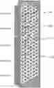 Fig. 01 - NOVEL HEAT PIPE CONFIGURATIONS